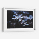 Evidencia de una noche fría | Cuadro decorativo de Canvas Lab