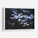 Evidencia de una noche fría | Cuadro decorativo de Canvas Lab