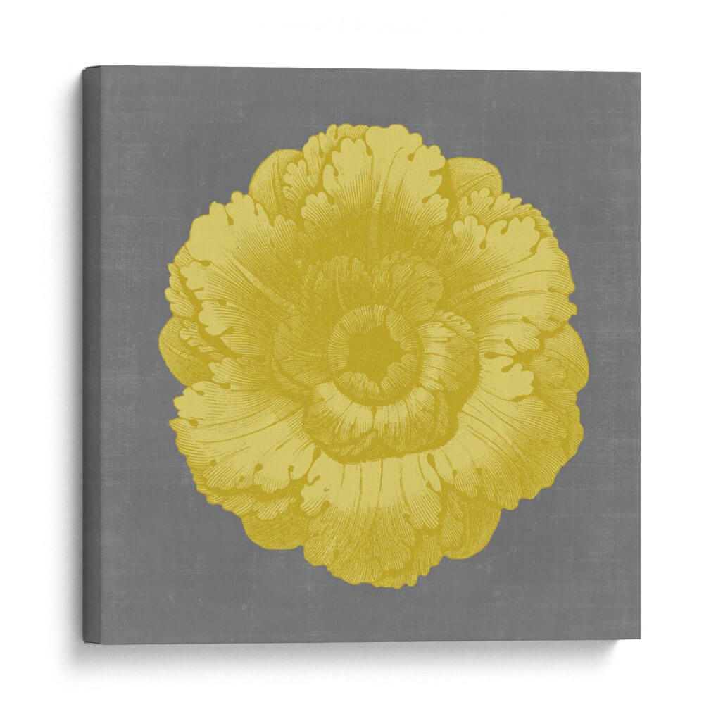 Dorado Rosette VI - Vision Studio | Cuadro decorativo de Canvas Lab