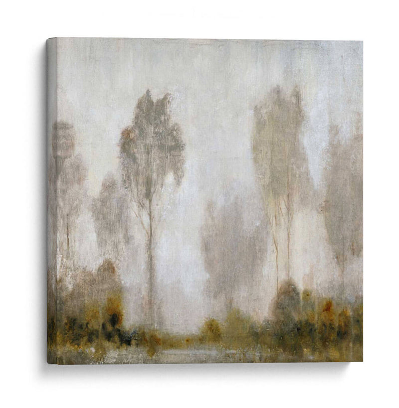 Misty Marsh I - Tim OToole | Cuadro decorativo de Canvas Lab