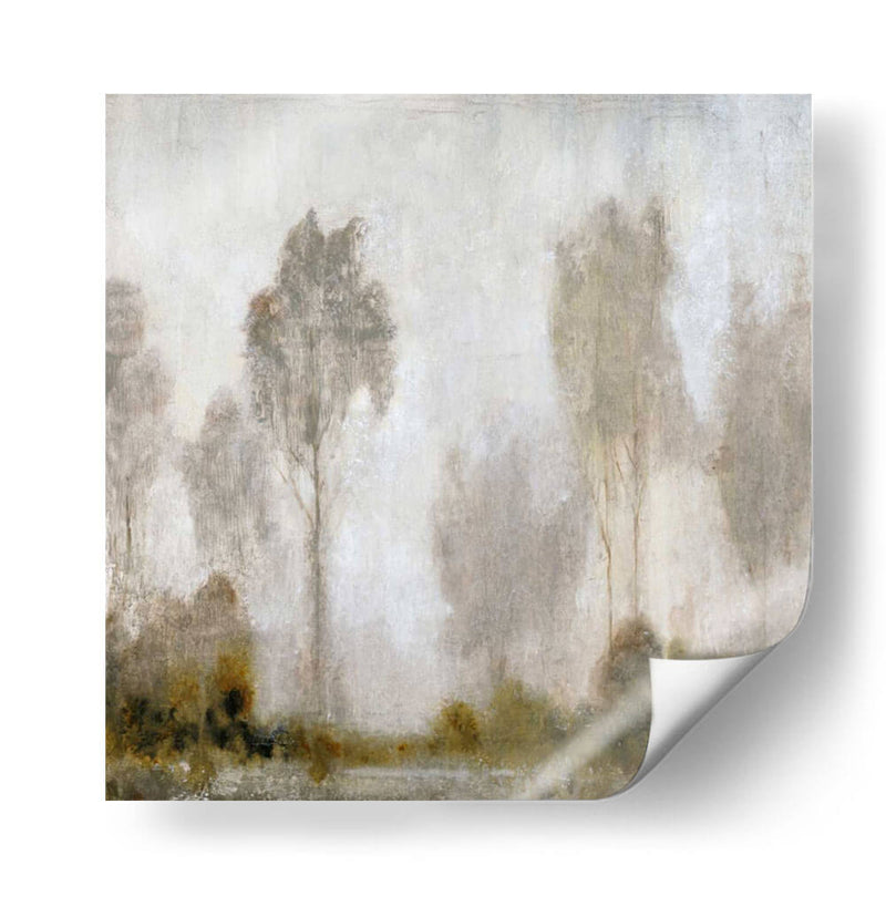 Misty Marsh I - Tim OToole | Cuadro decorativo de Canvas Lab