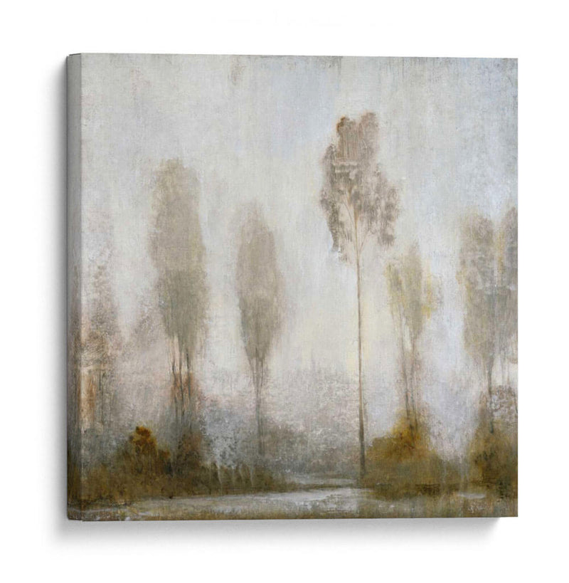 Misty Marsh II - Tim OToole | Cuadro decorativo de Canvas Lab