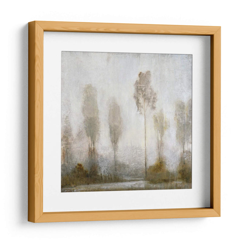 Misty Marsh II - Tim OToole | Cuadro decorativo de Canvas Lab