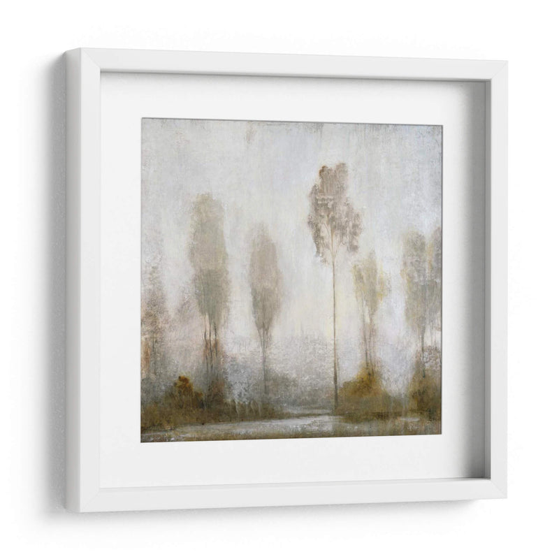 Misty Marsh II - Tim OToole | Cuadro decorativo de Canvas Lab