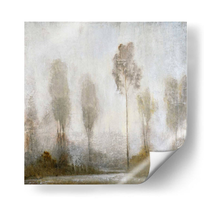 Misty Marsh II - Tim OToole | Cuadro decorativo de Canvas Lab