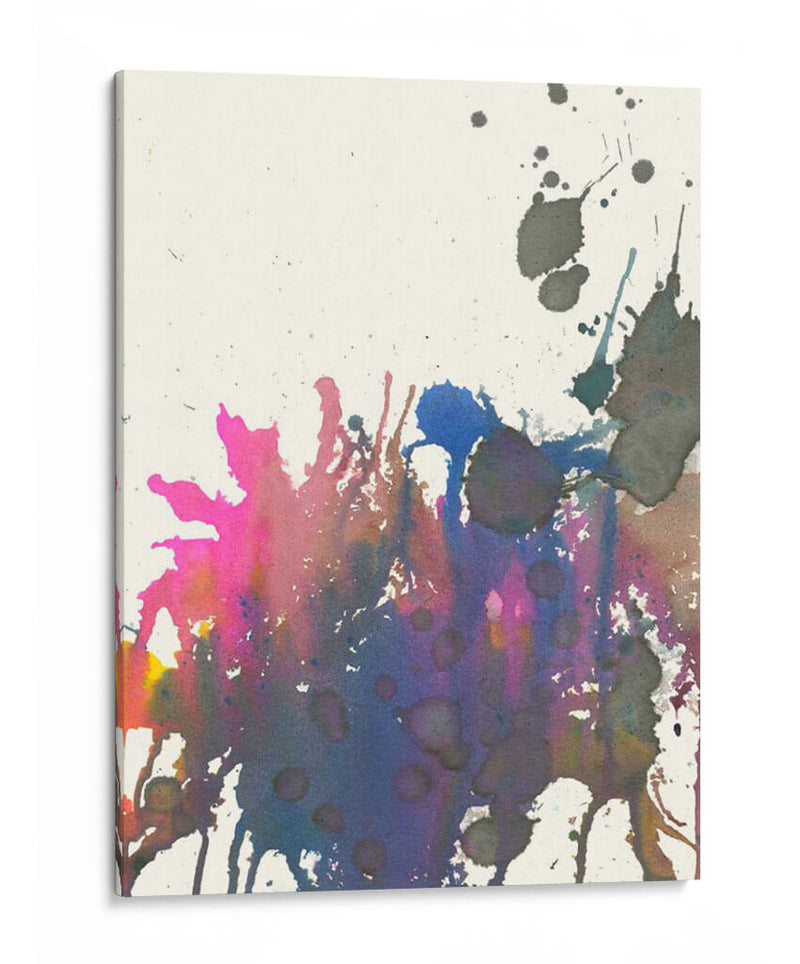 Exuberante Splotch - Jodi Fuchs | Cuadro decorativo de Canvas Lab