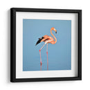 Flamingo solitario | Cuadro decorativo de Canvas Lab