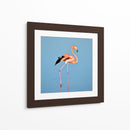 Flamingo solitario | Cuadro decorativo de Canvas Lab