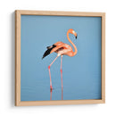 Flamingo solitario | Cuadro decorativo de Canvas Lab