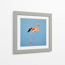 Flamingo solitario | Cuadro decorativo de Canvas Lab