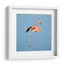 Flamingo solitario | Cuadro decorativo de Canvas Lab