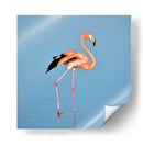 Flamingo solitario | Cuadro decorativo de Canvas Lab