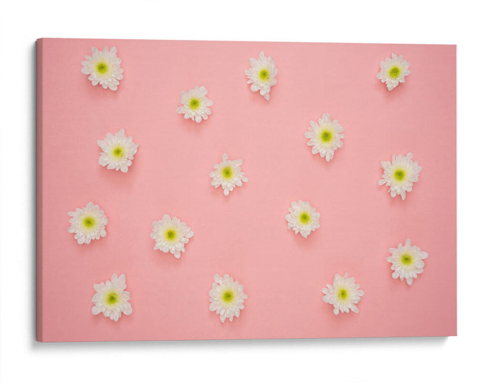 Florecitas sobre rosa | Cuadro decorativo de Canvas Lab