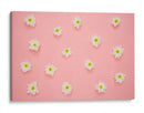 Florecitas sobre rosa | Cuadro decorativo de Canvas Lab