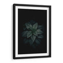 Fotosíntesis a obscuras | Cuadro decorativo de Canvas Lab