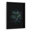 Fotosíntesis a obscuras | Cuadro decorativo de Canvas Lab