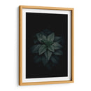 Fotosíntesis a obscuras | Cuadro decorativo de Canvas Lab