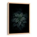 Fotosíntesis a obscuras | Cuadro decorativo de Canvas Lab