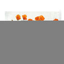 Filas De Las Amapolas I - Tim OToole | Cuadro decorativo de Canvas Lab