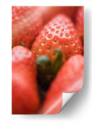 Fresa a detalle | Cuadro decorativo de Canvas Lab