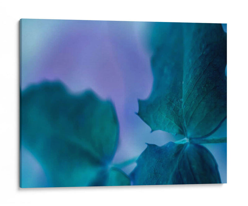 Complejidades II - Teton Parchment | Cuadro decorativo de Canvas Lab