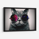 Gato galaxia | Cuadro decorativo de Canvas Lab