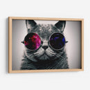 Gato galaxia | Cuadro decorativo de Canvas Lab
