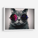 Gato galaxia | Cuadro decorativo de Canvas Lab