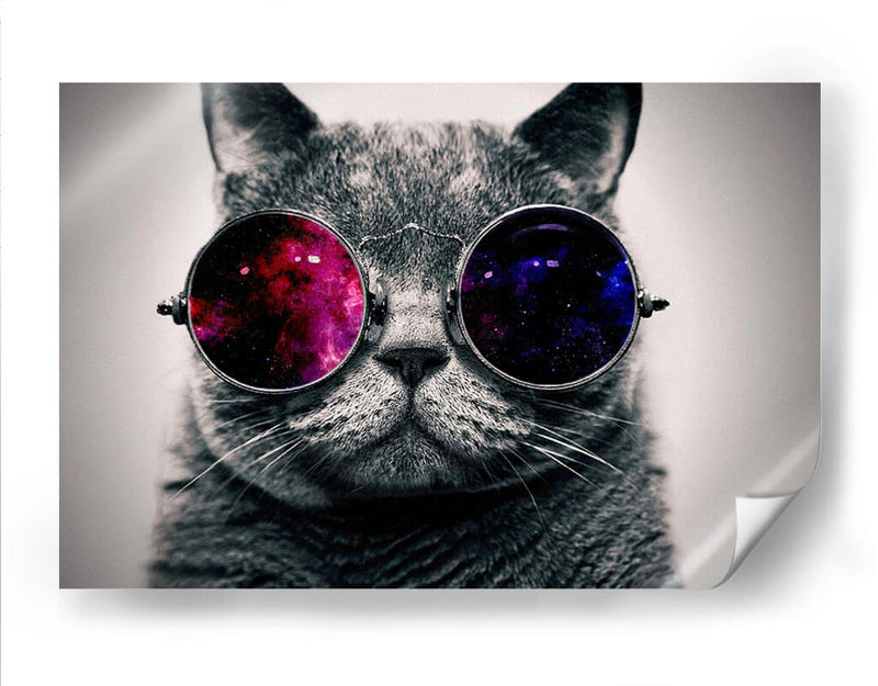 Gato galaxia | Cuadro decorativo de Canvas Lab