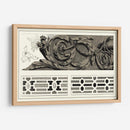 Detalles Barroco IV - Vision Studio | Cuadro decorativo de Canvas Lab