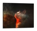 Gato universal | Cuadro decorativo de Canvas Lab