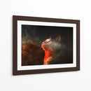 Gato universal | Cuadro decorativo de Canvas Lab