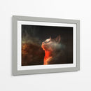 Gato universal | Cuadro decorativo de Canvas Lab
