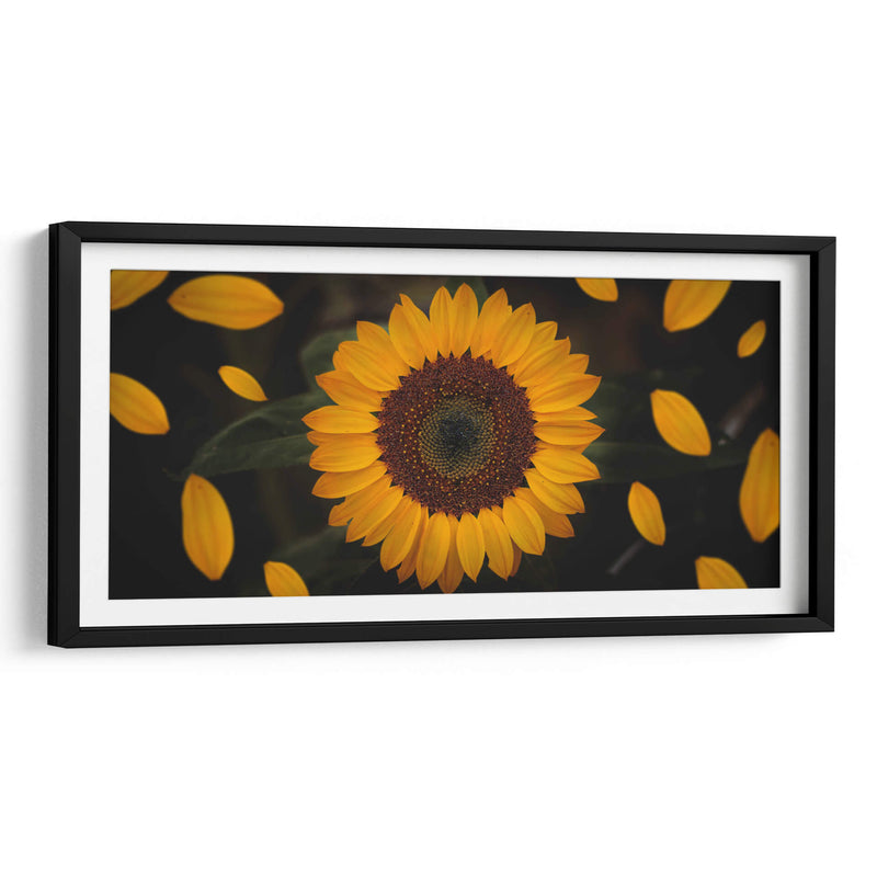 Gira girasol | Cuadro decorativo de Canvas Lab