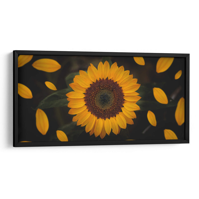 Gira girasol | Cuadro decorativo de Canvas Lab