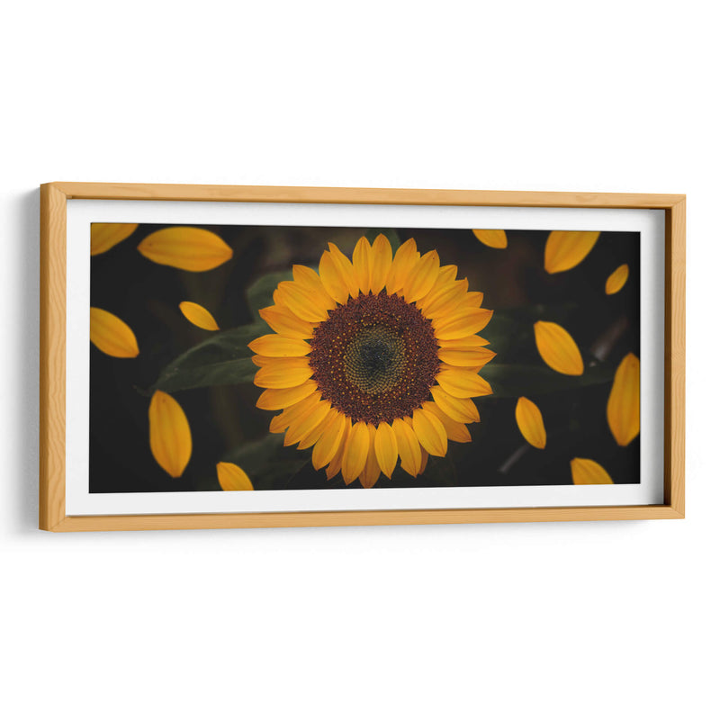 Gira girasol | Cuadro decorativo de Canvas Lab