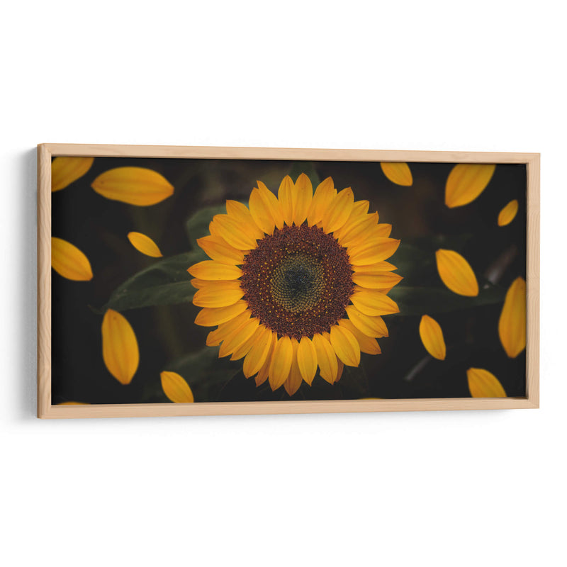 Gira girasol | Cuadro decorativo de Canvas Lab