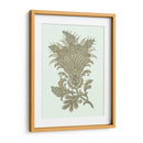 Celadon Del Adorno Floral I - Vision Studio | Cuadro decorativo de Canvas Lab