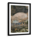 Echando el ojo | Cuadro decorativo de Canvas Lab