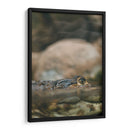 Echando el ojo | Cuadro decorativo de Canvas Lab