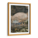 Echando el ojo | Cuadro decorativo de Canvas Lab