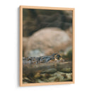 Echando el ojo | Cuadro decorativo de Canvas Lab