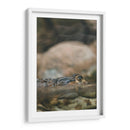 Echando el ojo | Cuadro decorativo de Canvas Lab