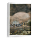 Echando el ojo | Cuadro decorativo de Canvas Lab