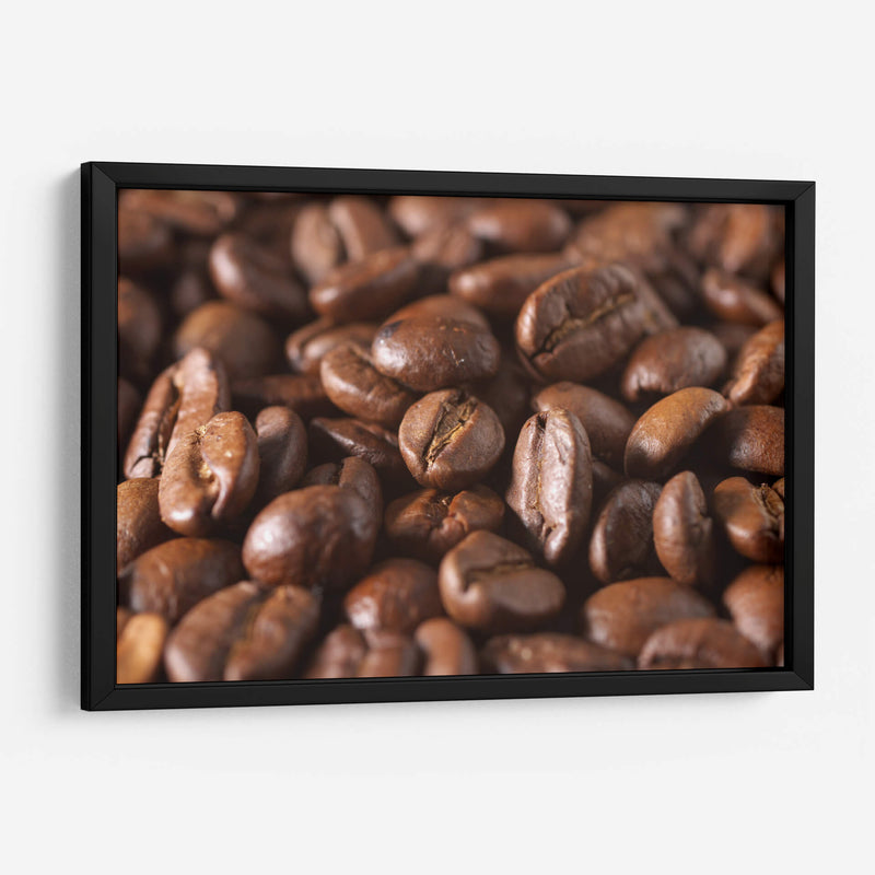 Granos arábicos | Cuadro decorativo de Canvas Lab