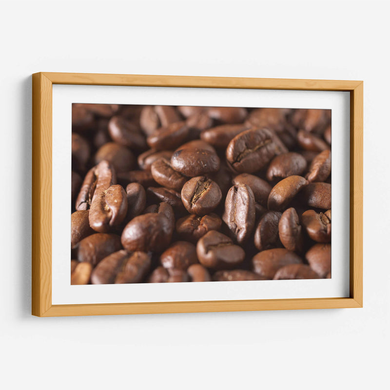 Granos arábicos | Cuadro decorativo de Canvas Lab