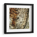 Natures Texturas III - Vision Studio | Cuadro decorativo de Canvas Lab