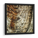 Natures Texturas III - Vision Studio | Cuadro decorativo de Canvas Lab