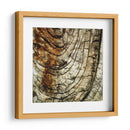 Natures Texturas III - Vision Studio | Cuadro decorativo de Canvas Lab