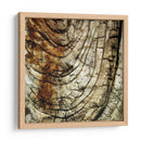 Natures Texturas III - Vision Studio | Cuadro decorativo de Canvas Lab